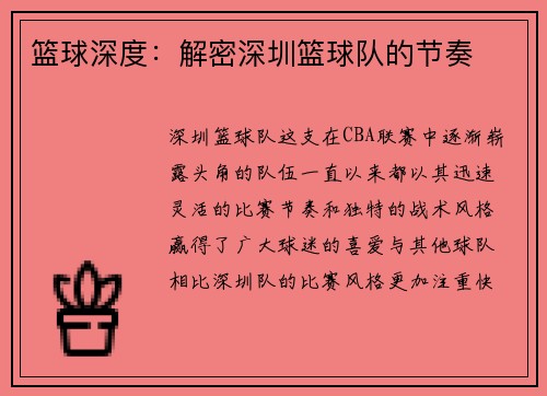 篮球深度：解密深圳篮球队的节奏