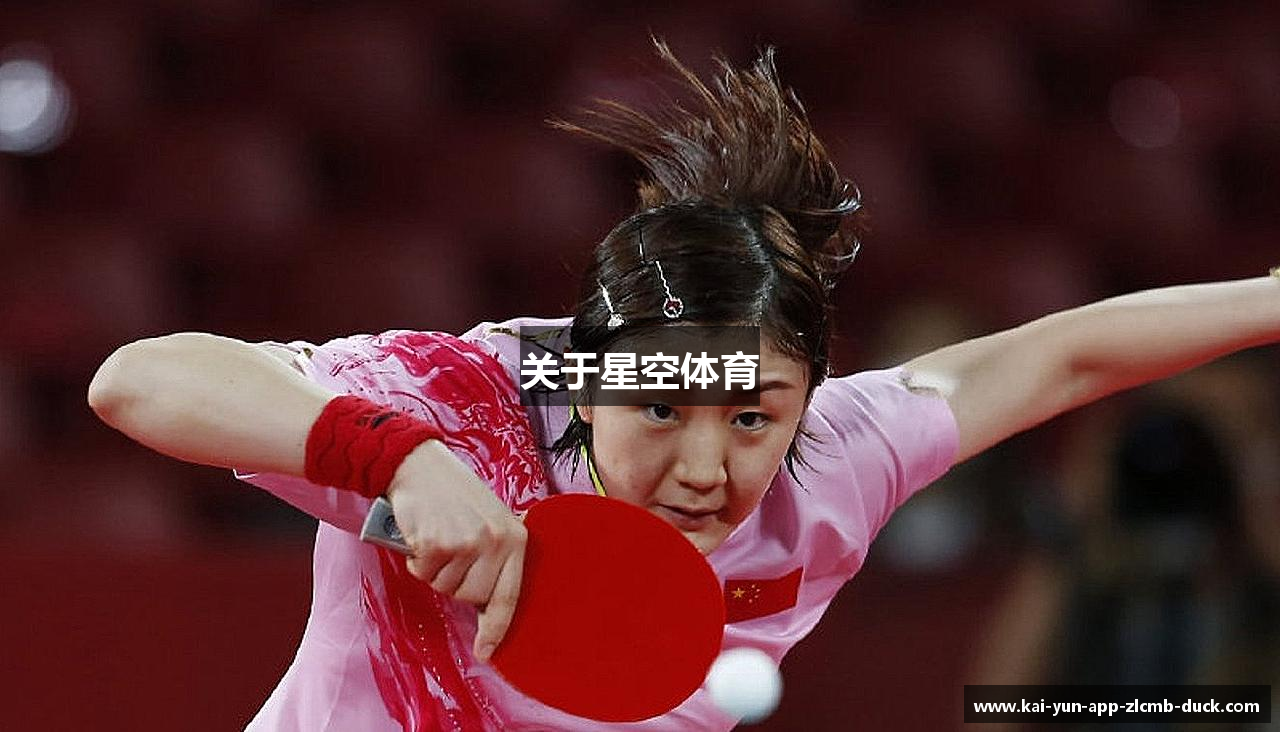 关于星空体育