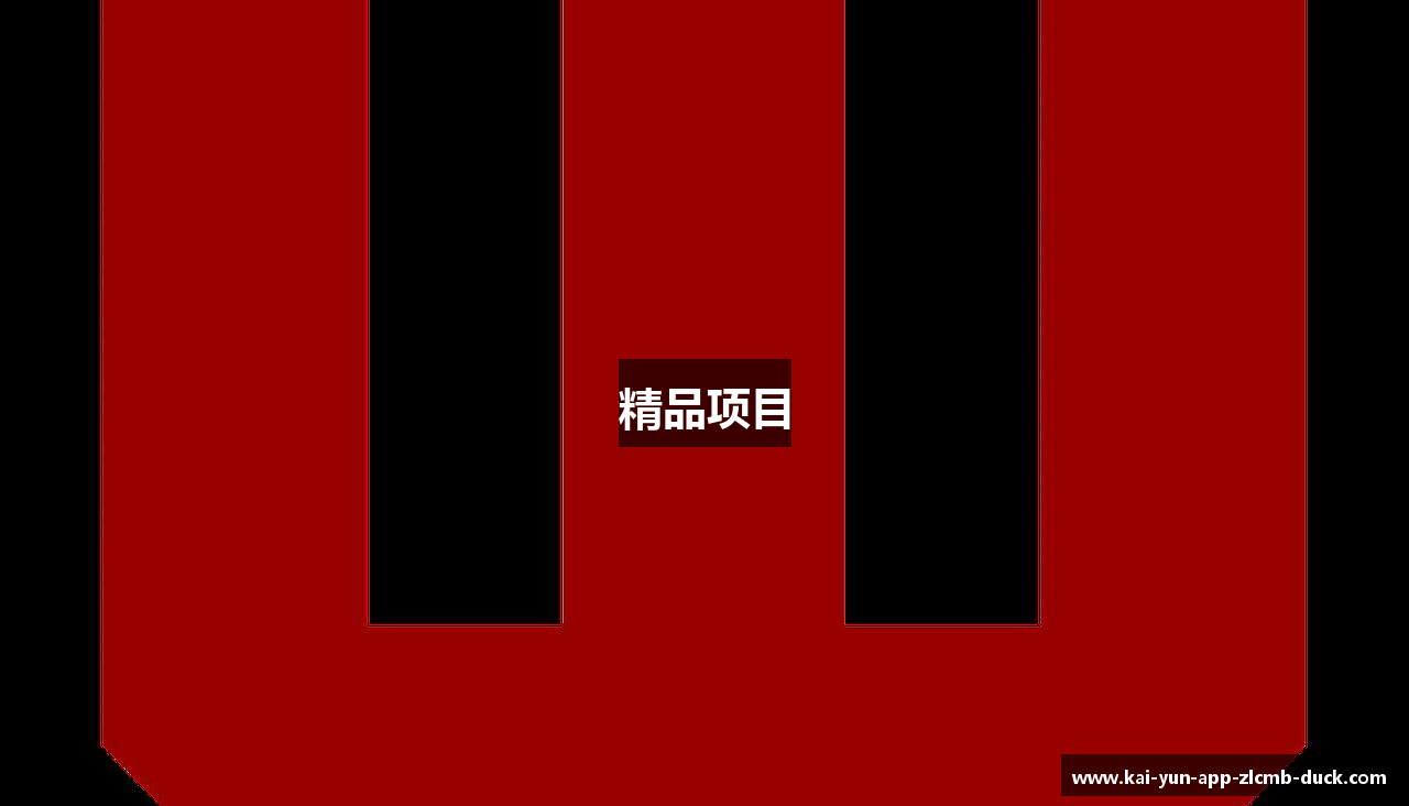精品项目